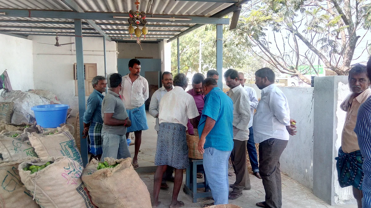 An open outcry auction of lemon at the Gudur Lemon Market. 