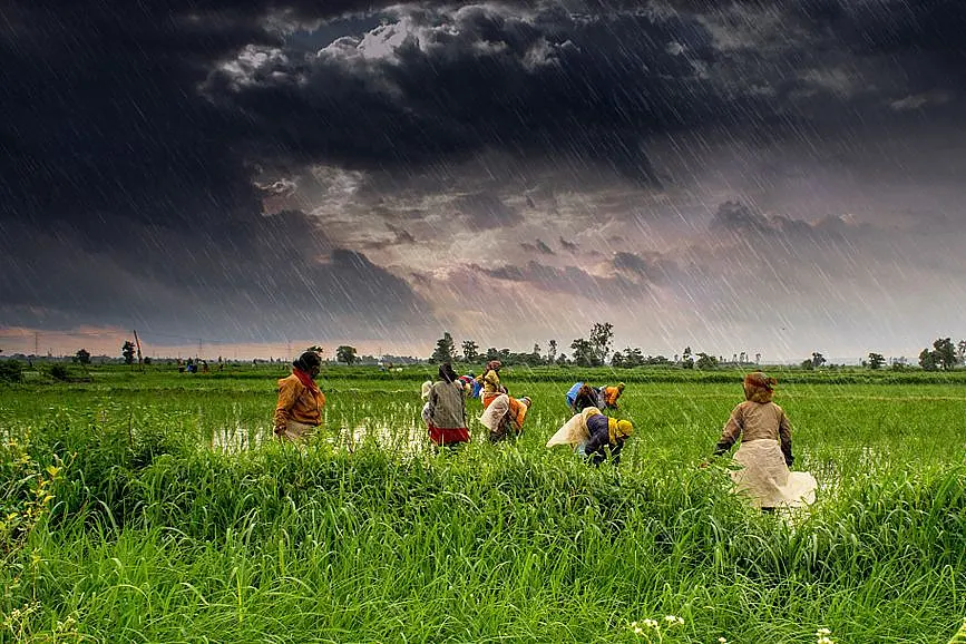 The Right Manifesto For Agriculture: Green Solution(s)