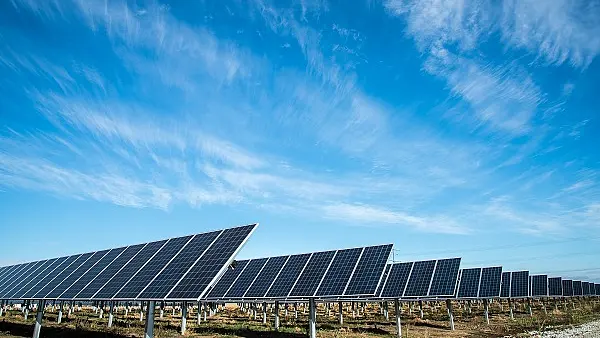Indian Railways To Utilise Vacant Real Estate To Push For Green Energy; Solar, Wind Projects Planned