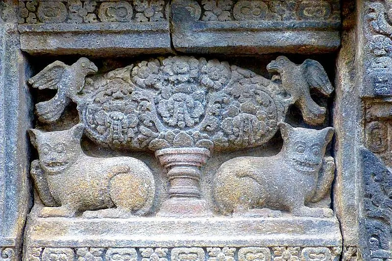 Kalpavrksha: Rooted In Human Desire