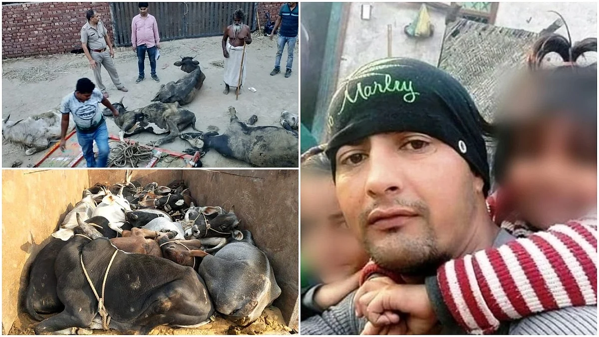 (Left) Photos of cattle rescued by Gopal’s team (Right) Gopal Singh 