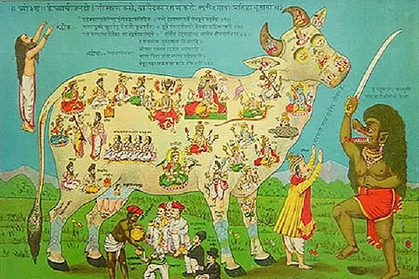 Cow Slaughter And Hindu Persecution In The Indian Subcontinent: A Short History