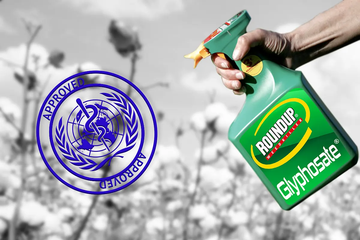 WHO Gives Clean Chit To This Controversial Herbicide: What Does It Mean For HTBT Cotton Farmers In India?
