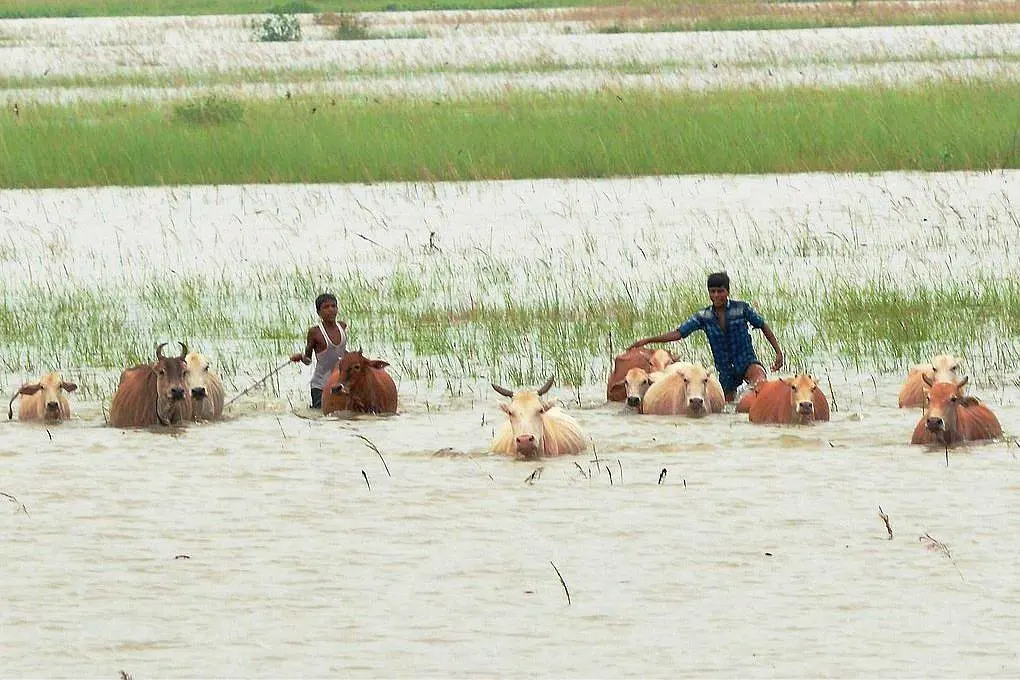 Here’s How Human Miseries Caused By Assam’s Unavoidable Floods Can Be Mitigated