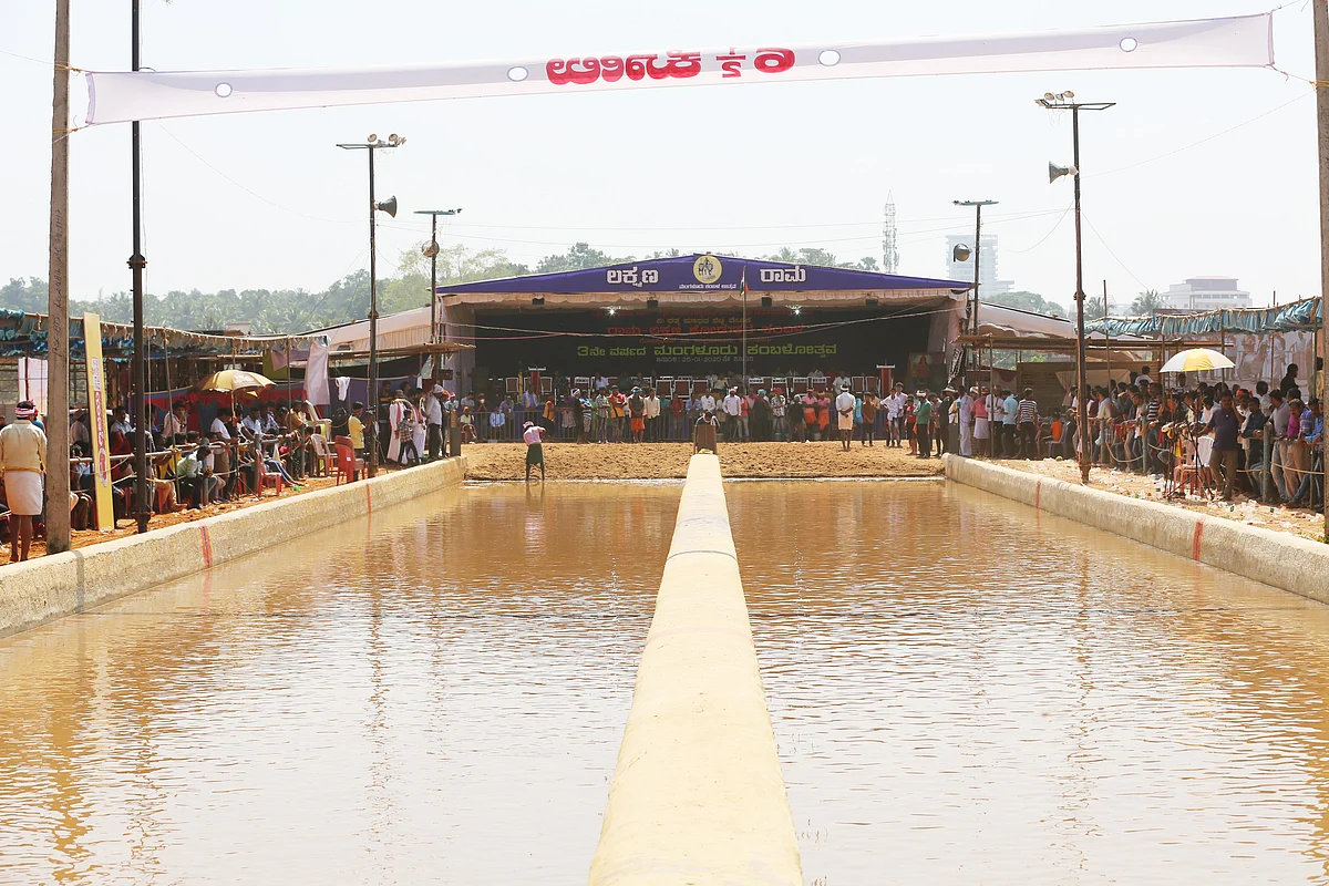 The track that is created each year at Mangaluru Kambala to give city residents an experience (Photo: HB/Mangaluru Kambala)