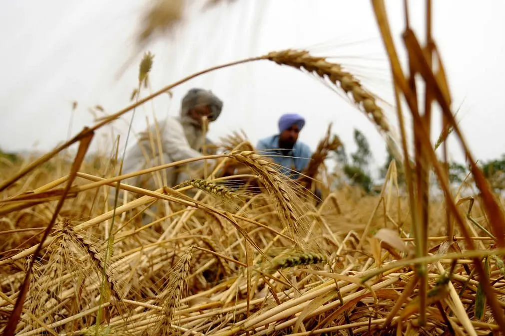 Finally, Indian Farmer Gets A Whiff Of National Market; ECA, APMC Laws In For Overhaul