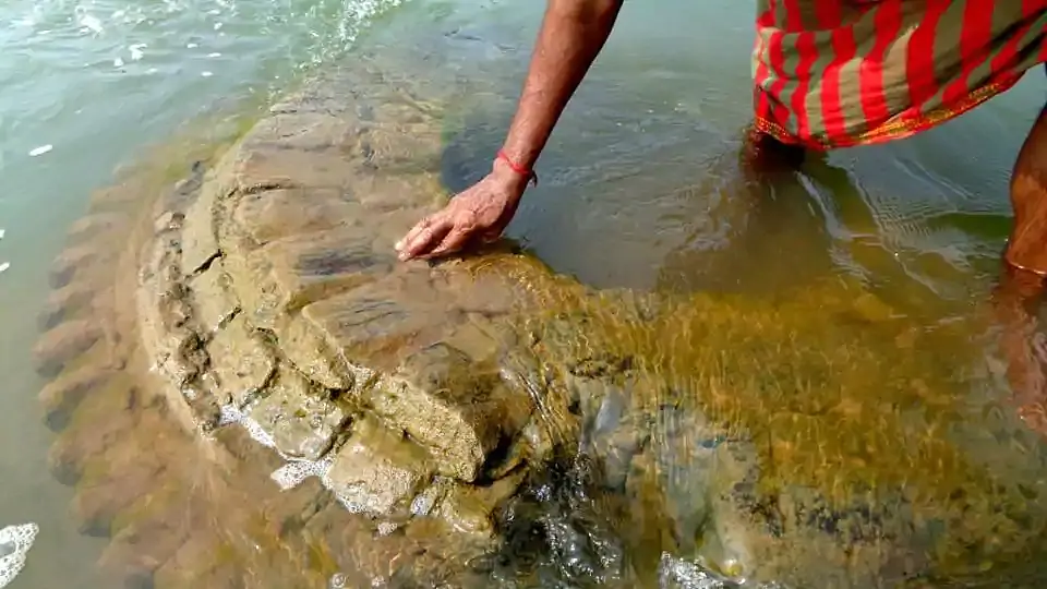 Odisha: 500-Years-Old Temple Of Lord Vishnu Submerged In River Mahanadi Resurfaces