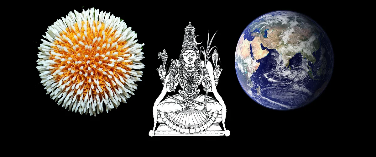 On her ears is the <i>kadamba manjari</i>: globe like inflorescence of <i>kadamba </i>flowers.