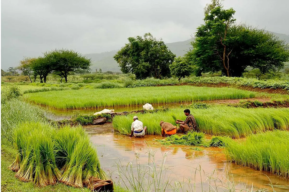 How Rs 110 Crore From PM Kisan Scheme Was Swindled In Tamil Nadu Through 5 Lakh Fake Beneficiaries