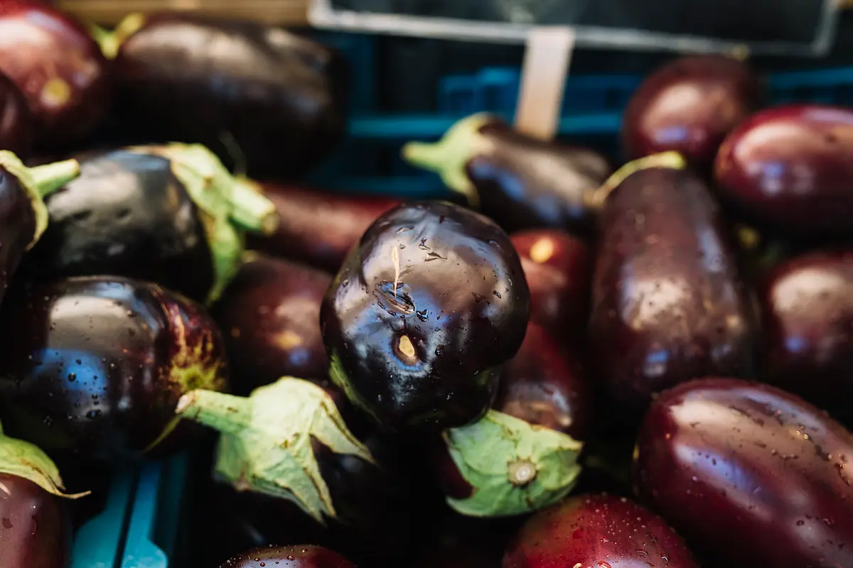 Eight States To Hold Field Trials Of Bt Brinjal, Government Says More GM Crops To Protect Farmers' Interest On The Cards