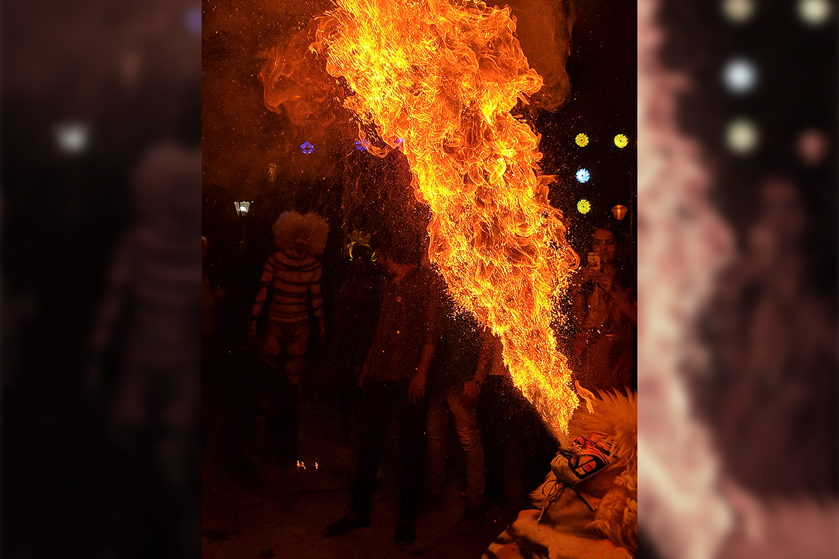 A tiger blowing fire. Picture: Sharan Shetty.
