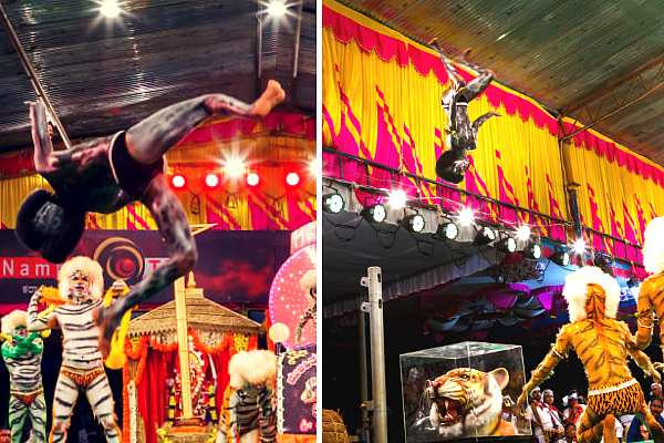 Tigers fly high in the air trying flips. Picture: Team MGT.