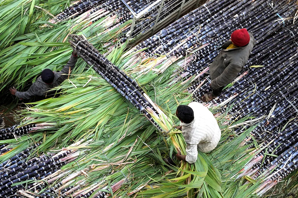 Government Mulls Hiking Price Of Ethanol For Use As Fuel, But Sugar Mills Lack Production Capacity