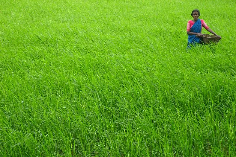Modi Government Steps Up Kharif Crops Procurement Even As Farmers' Protests Lose Steam
