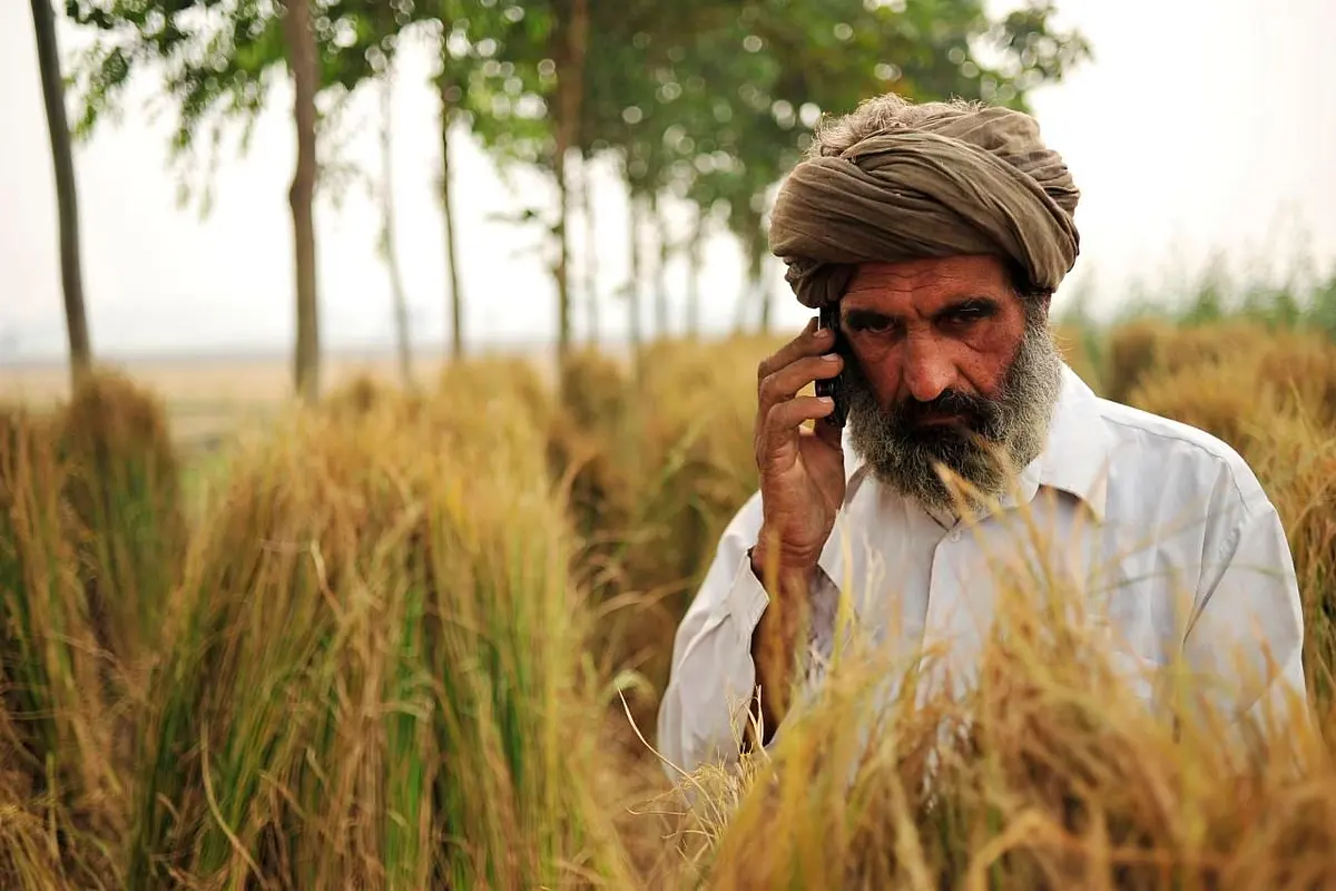 Centre’s Focus On Cereal Producing States Encourages Lazy Farming, Says SBI Economic Think-Tank