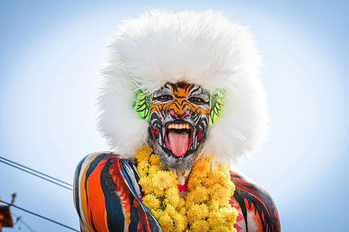 The tiger roars. Picture: Athul S K.