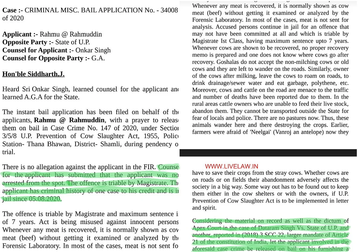 No, Allahabad High Court Has Not Said Cow Slaughter Act Is Being Misused Against Innocents; Media Misreports