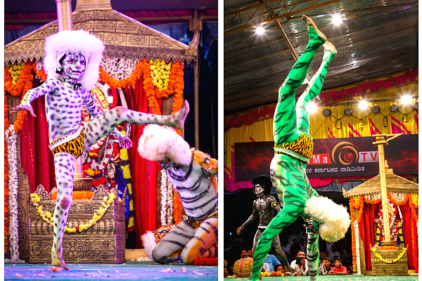 The tigers showing some of their dance moves. Picture: MGT Team
