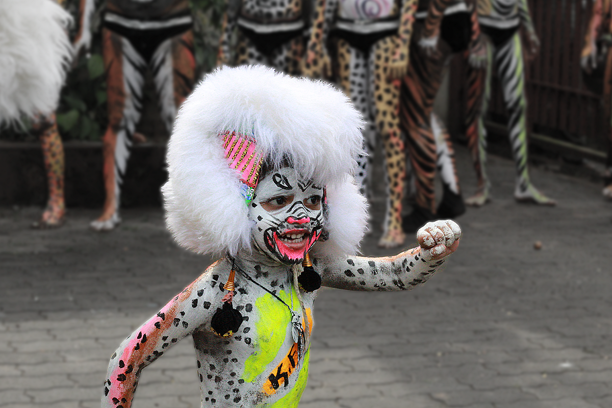 An adorable tiger cub prancing around. Picture: Team Kalicharan