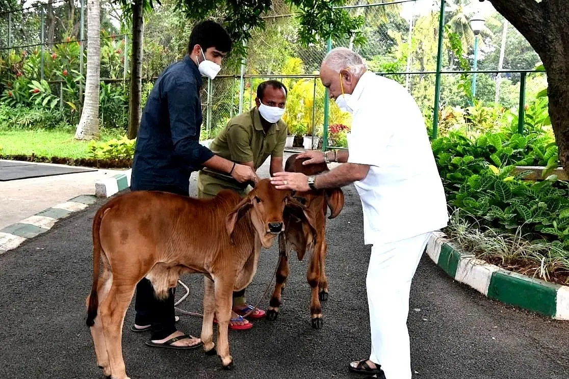Karnataka To Table Bills Against Cow Slaughter And ‘Love Jihad’ In The Legislative Session Starting Today