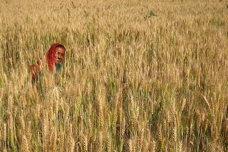 Once Again, Agri Reforms Explained For Those REALLY In A Hurry