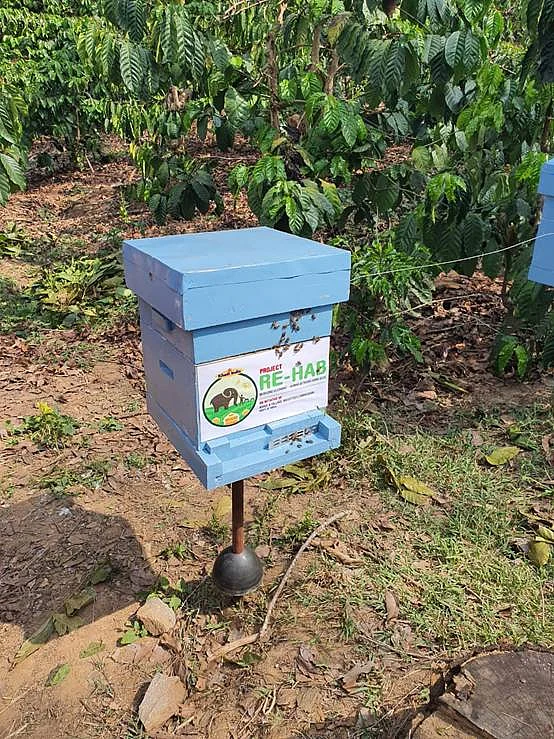 ‘Bee-Fences’ Set Up To Scare Away Elephants And Prevent Human-Animal Conflict In Karnataka