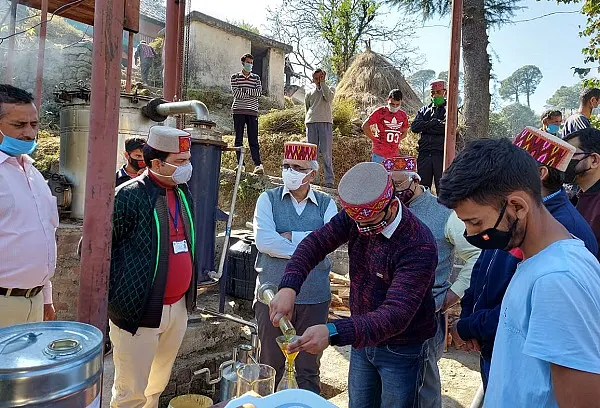 Himachal Pradesh: Cultivation Of Wild Marigold Doubles Farmer Income In Chamba District