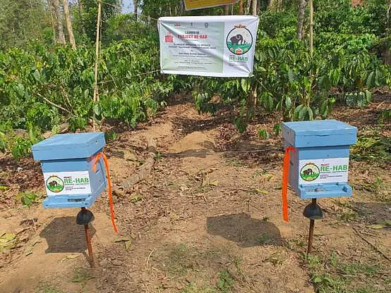 ‘Bee-Fences’ Set Up To Scare Away Elephants And Prevent Human-Animal Conflict In Karnataka