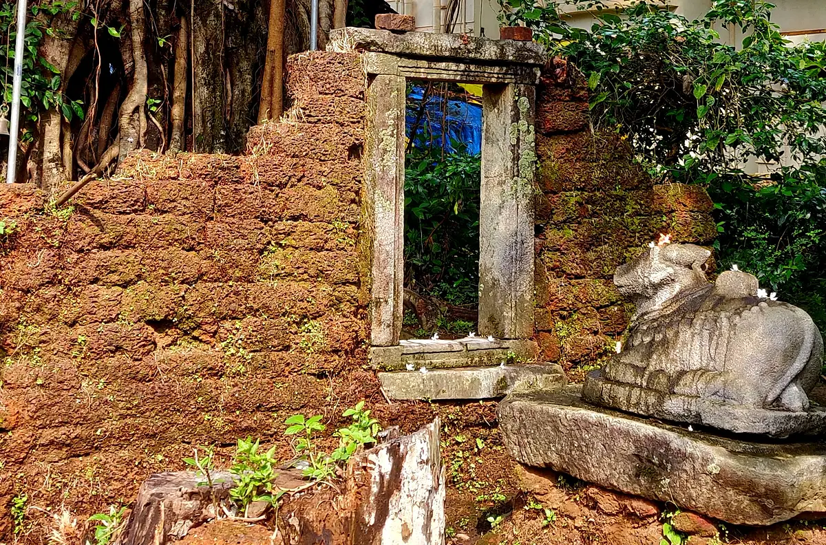 Tuluveshwara: Where Nature Guards What Man Didn’t Care To