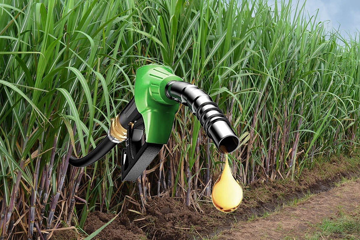 Use Of Domestically Produced Biofuels Being Promoted To Reduce Crude Imports, Support Agriculture Sector: Govt - Vimarsana News
