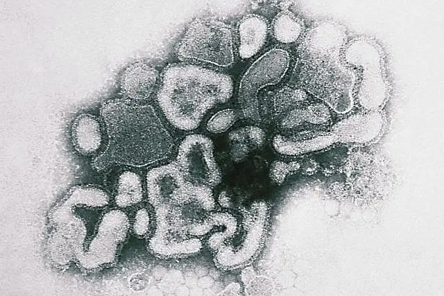 Like SARS-CoV-2, Spanish Flu-Causing Virus Also Mutated Several Times Before Fizzling Out