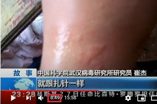 Always Unsafe? Video From 2017 Shows Wuhan Lab Scientists Admitting To Being Bitten By Bats While Using Little To No PPE