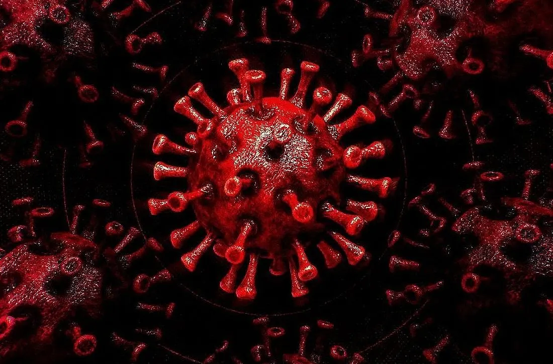 On Chinese Researcher’s Request Key Covid-19 Gene Data Was Removed From NIH Database