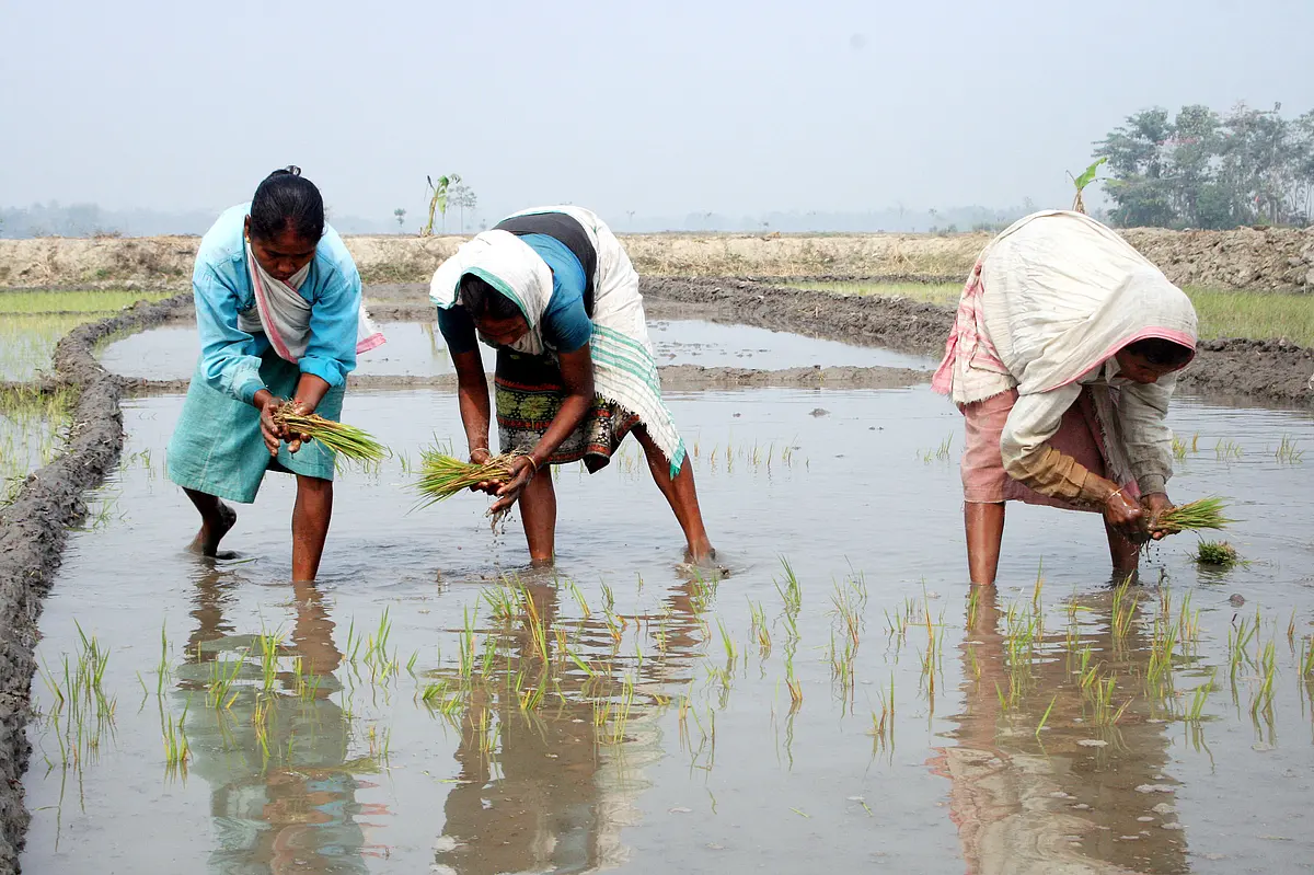 Rejuvenating Cooperatives For Economic Revival