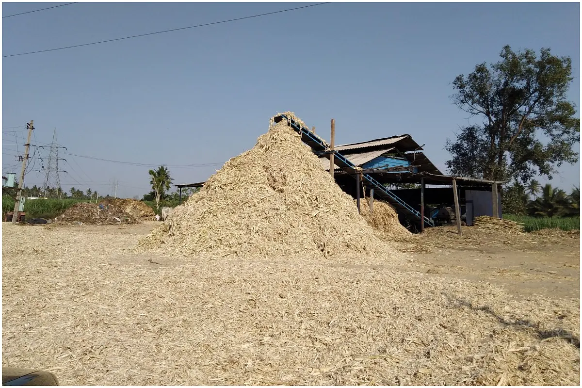Explained: How The Centre Is Trying To Manage India's Excess Sugarcane Produce