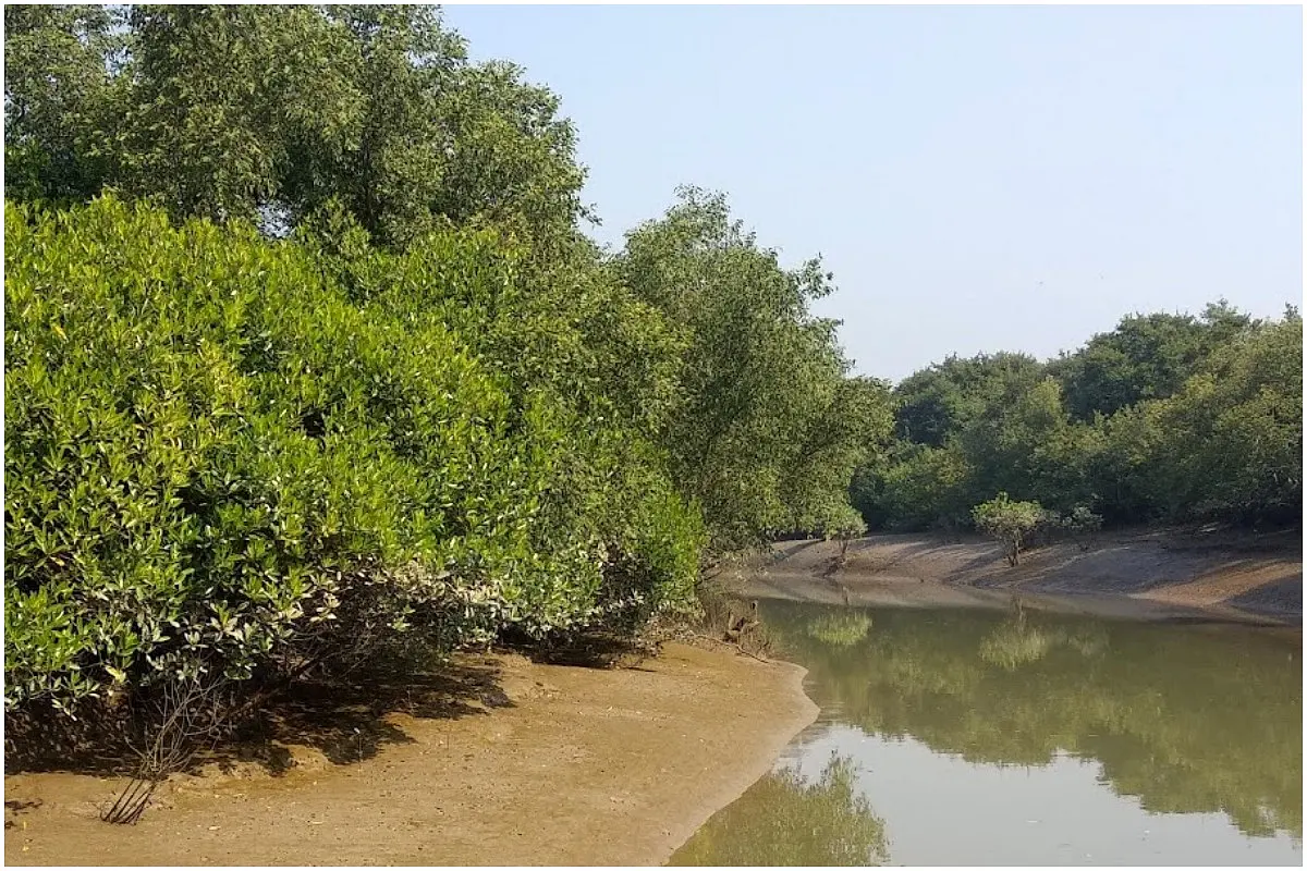 An Ecological Disaster Is Waiting To Happen In Odisha. Here's Why
