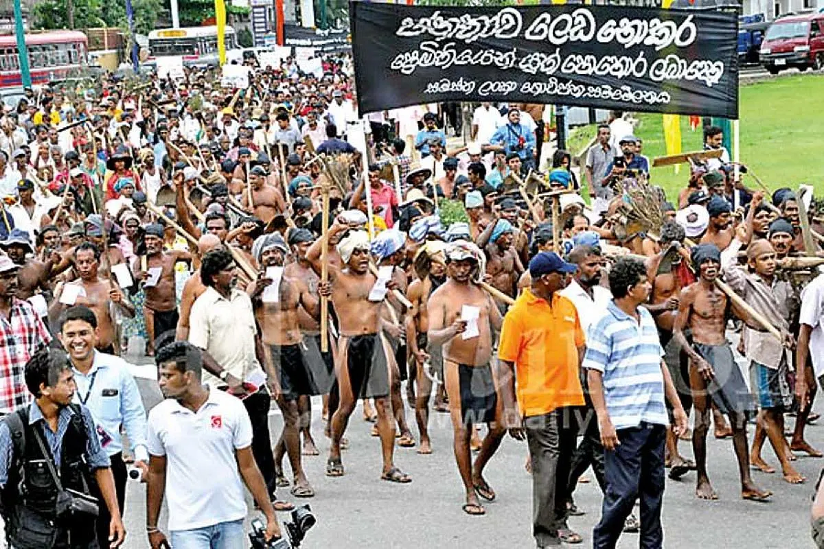 Sri Lankan Government Sacks Country’s Top Agricultural Scientist For Criticising Chemical Fertilisers Ban, Food Crisis Warning