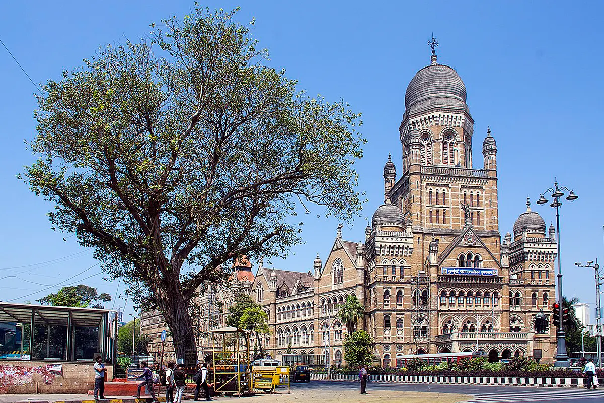 Mumbai Municipality Okays Cutting Of Almost 39,000 Trees In 11 Years, Reveals RTI Response