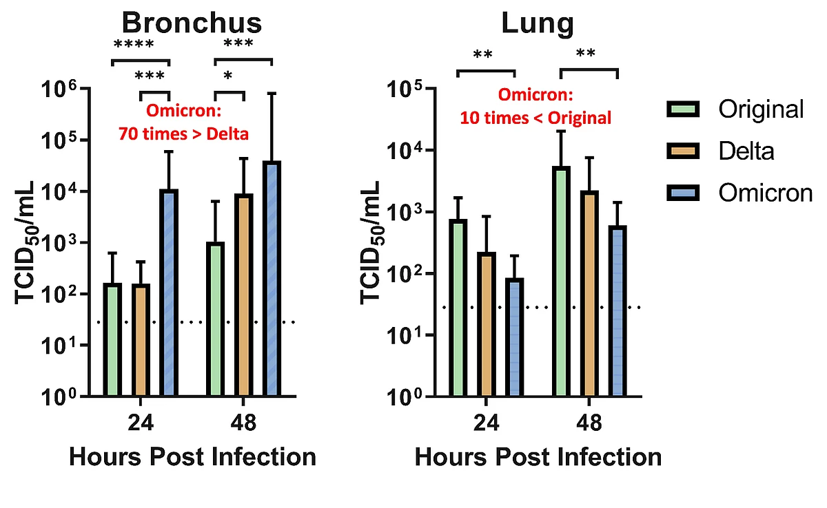 Explained: Scientific Study Which Explains Why Omicron May Be Less Deadly Than Delta