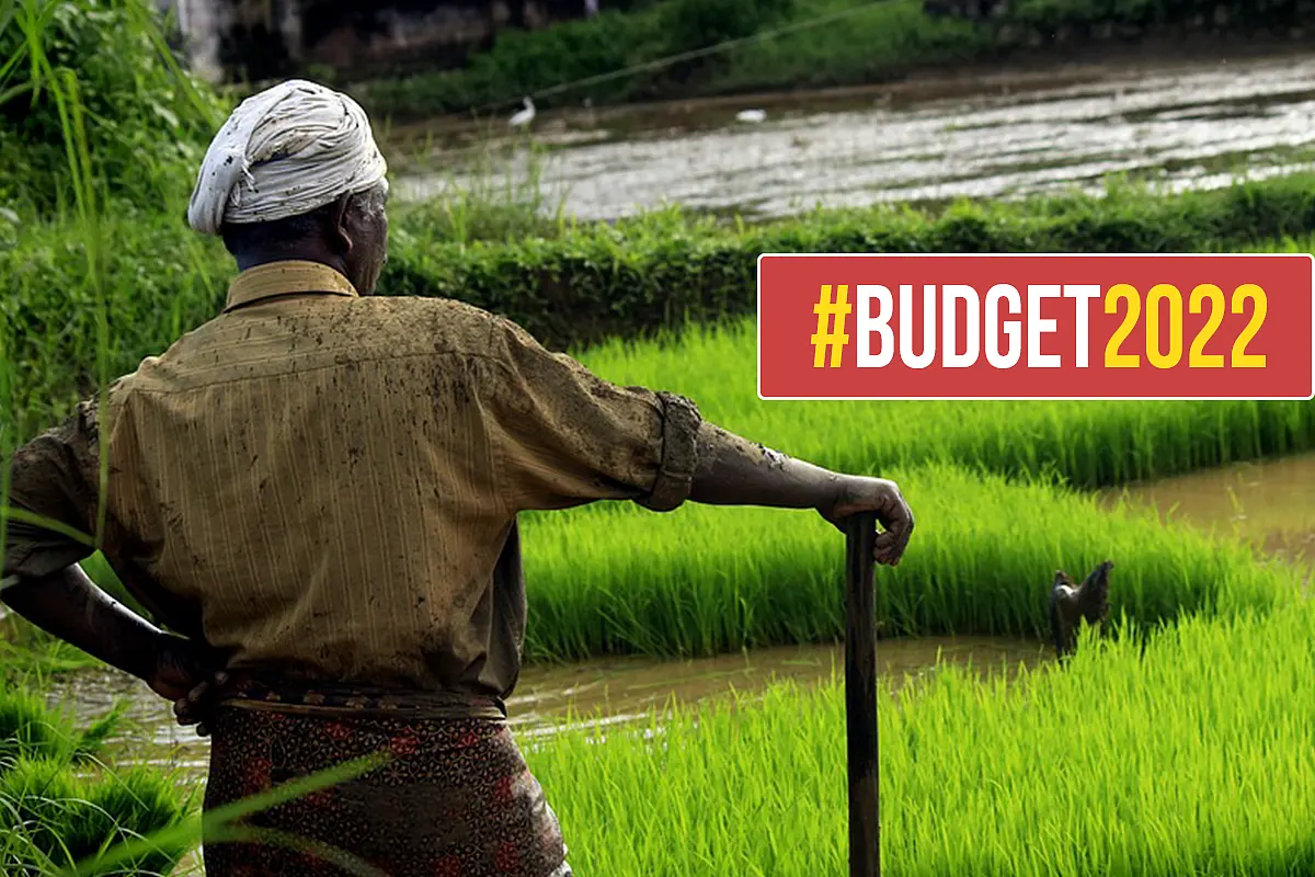 Are Outlays On Subsidies, Health And MGNREGS Too Small? Why Critics Should Chill