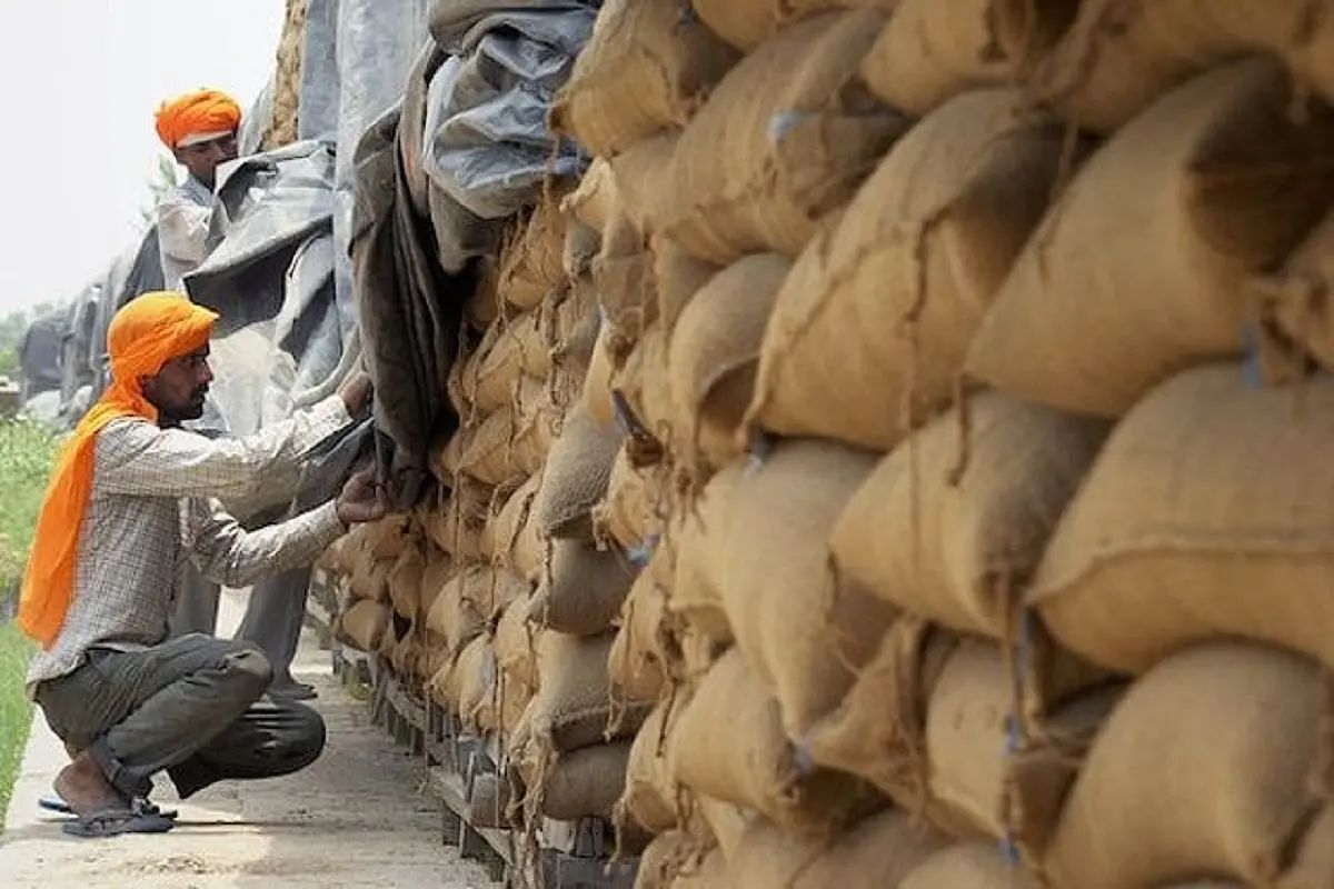 About 50.38 Lakh Metric Tonne Foodgrains Distributed Under Phase V Of Pradhan Mantri Garib Kalyan Anna Yojana: Govt