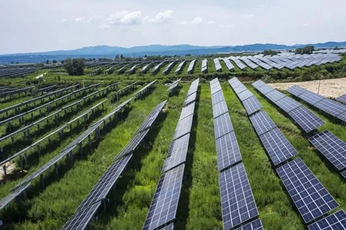 Godawari Power Commissions 70 MWp Captive Solar PV Plant At Chhattisgarh's Rajnandgaon
