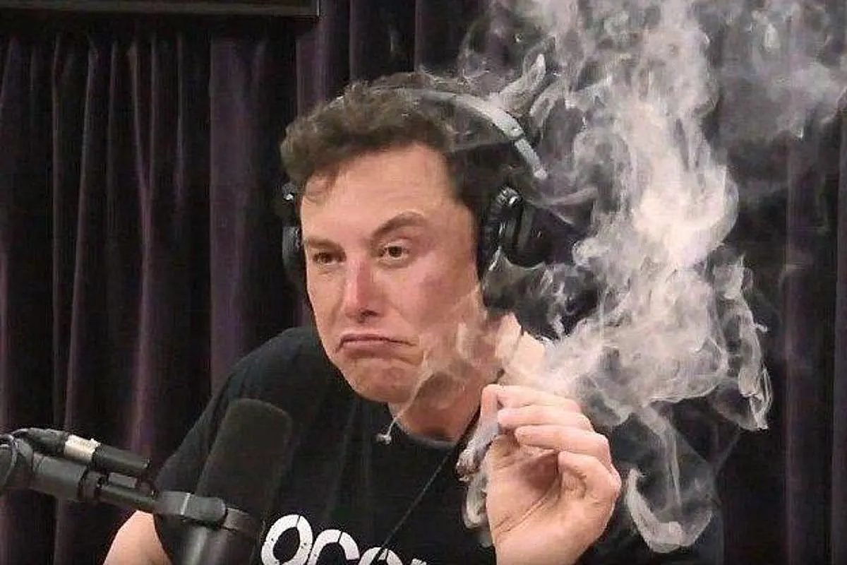 Musk Acquires 9.2 Per Cent Stake In Twitter, Becoming One Of The Largest Shareholders