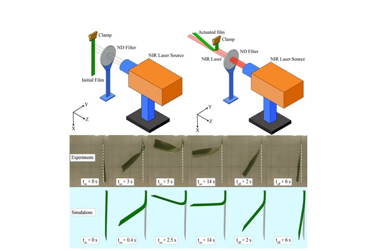 Indian Scientists Develop Smart Material That Could Harness Solar Energy For Applications In Soft Robotics, MEMS Devices