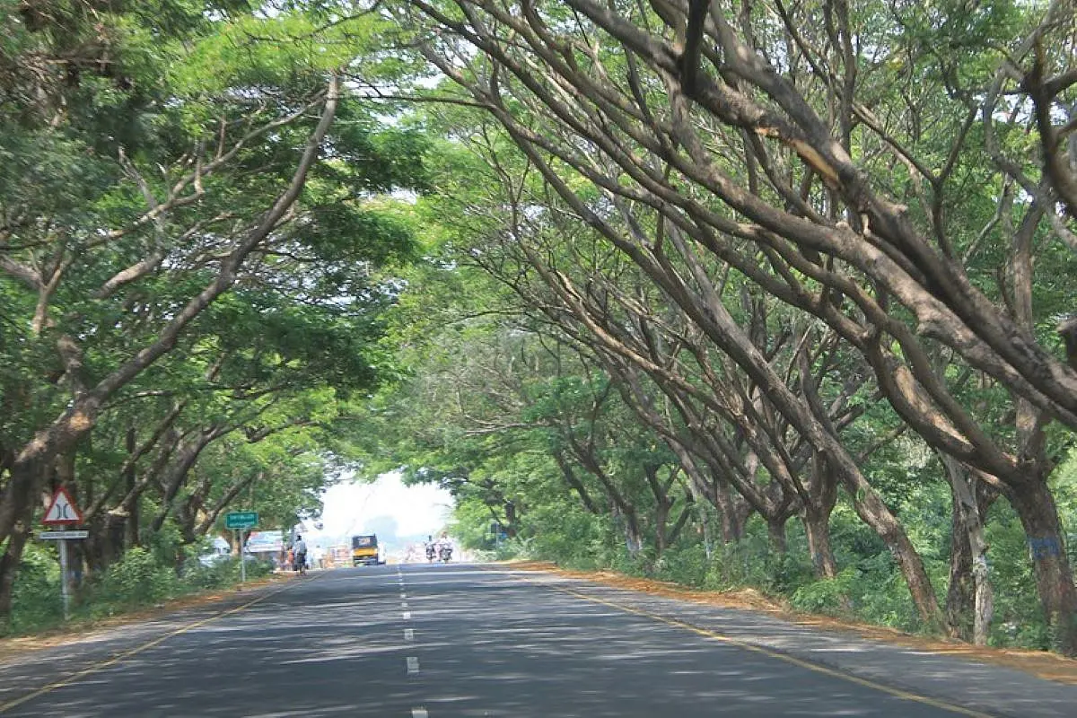 Chennai East Coast Road: Much-Delayed Project To Expand 11 Km Stretch Of ECR From Thiruvanmiyur To Akkarai Finally Gathers Pace