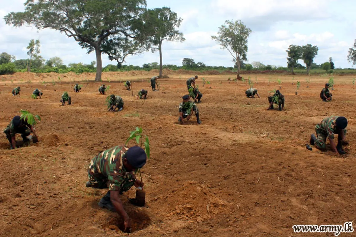 Jawans To Double Up As Kisans: Sri Lankan Army To Cultivate Barren Land To Boost Food Production And Promote Food Security