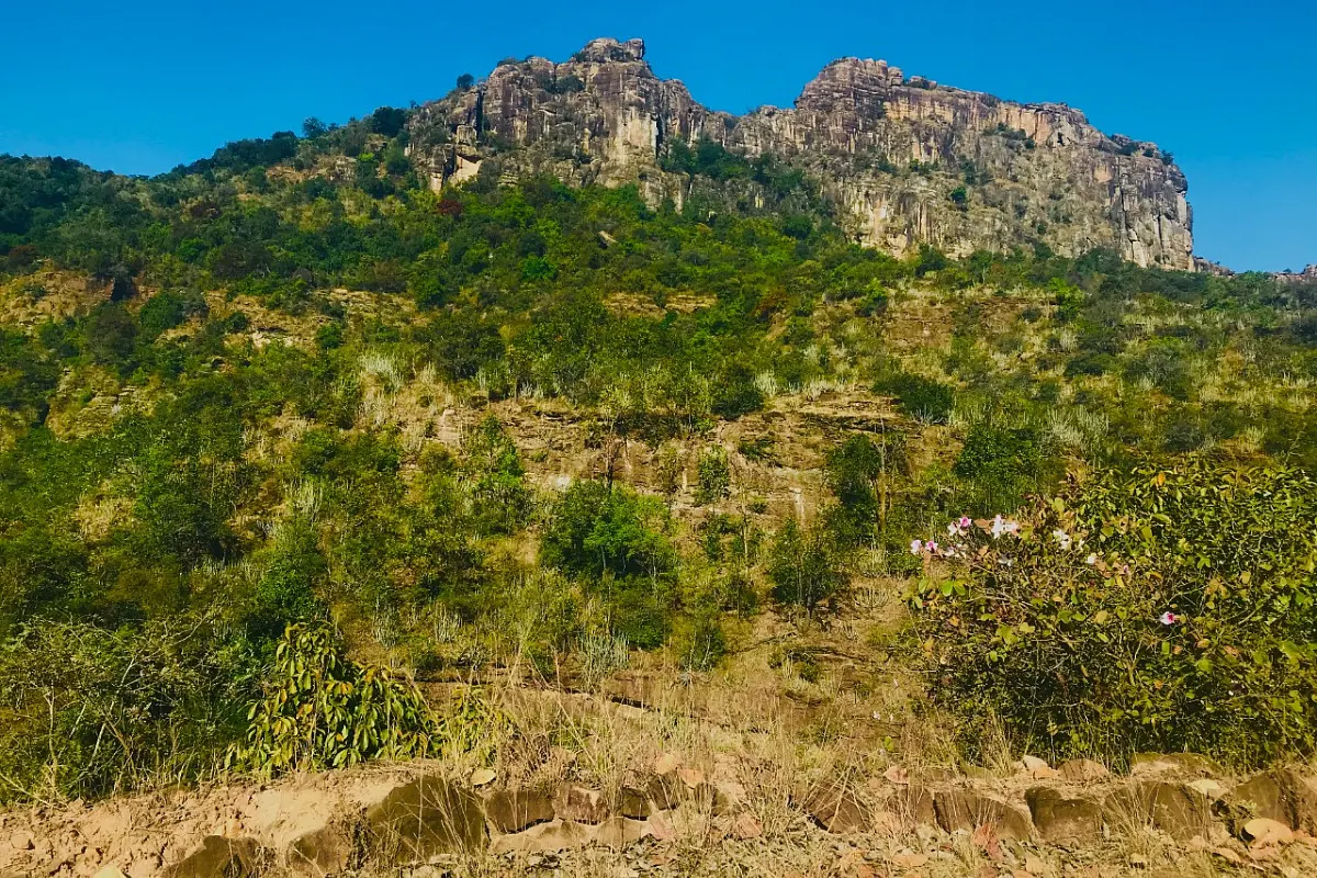 ‘Satpura: A Tale Of Seven Hills’ — Sleek Trailer Of Documentary On This MP Tiger Reserve Was Released On World Environment Day