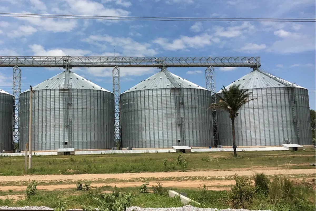 Foodgrain Storage Infra Modernisation: Centre Proposes 'Hub And Spoke' Model Silos In PPP Mode At 249 Locations Across India