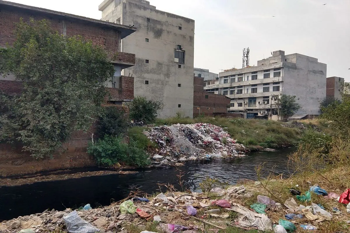 Days After It Imposed Rs 3500 Crore Penalty On West Bengal For Failure To Treat Waste, NGT Now Slaps Over Rs 2000 Crore Fine on Punjab