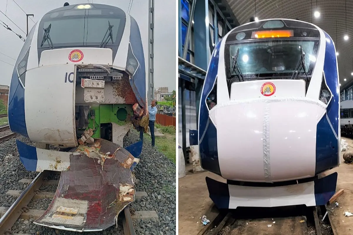 Vande Bharat: Western Railway To Spend Rs 264 Cr To Complete Fencing Along Mumbai-Ahmedabad Route By March To Prevent Cattle Run Overs